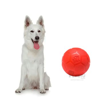 JUGUETE CAUCHO PERROS Y GATOS MA31256 INTERACTIVO VERDE + ENVOLTORIO REGALO RYBIU