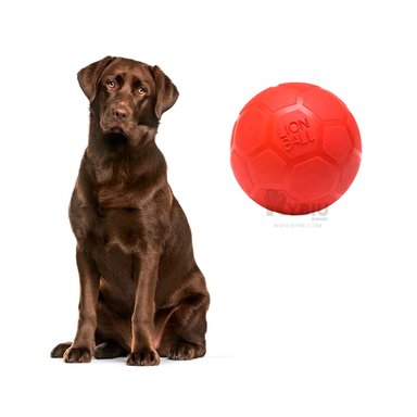 JUGUETE CAUCHO PERRO MA31256 PRACTICO VERDE + GIFT MINIAGENDA RYBIU