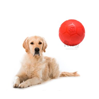 PELOTA CAUCHO PERRO MA31256 LIVIANA VERDE + PAPEL REGALO RYBIU