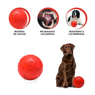 BALÓN CAUCHO PERROS Y GATOS MA31257 BONITO JUEGOS ROJO + REGALO LIGAS PEINAR RYBIU