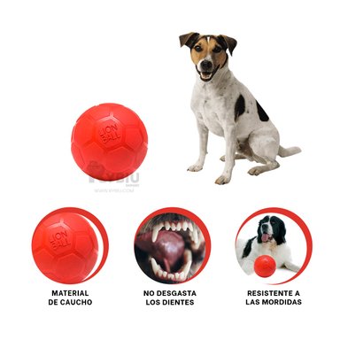 BALÓN CAUCHO PERROS Y GATOS MA31258 SENCILLO EN ROJO + BANDERITAS ADHESIVAS RYBIU