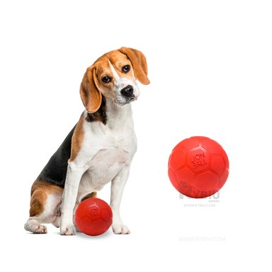 JUGUETE CAUCHO PERRO MA31257 PRACTICO ROJO + GIFT MINIAGENDA RYBIU