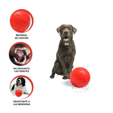 BALÓN CAUCHO PERROS Y GATOS MA31258 FACIL LAVAR ROJO + POST IT ADHESIVOS RYBIU