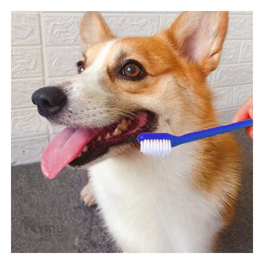 CEPILLO PERROS RYBIU MA31057 DOBLE CABEZAL 3 PIEZAS + PAPEL REGALO