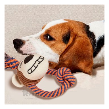 PELUCHE FELPA PERROS Y GATOS MA31261 FACIL LAVADO EN MODELO MONO + PAPEL REGALO RYBIU