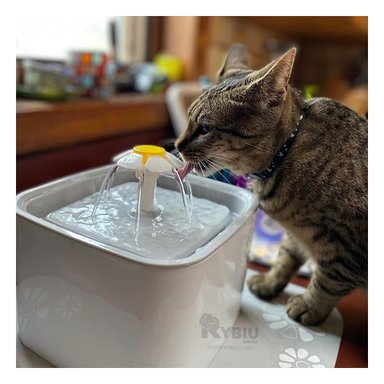 HIDRATADOR PERRO Y GATO MA31114 RYBIU PRACTICO BLANCO + REGALO LIGAS PEINAR