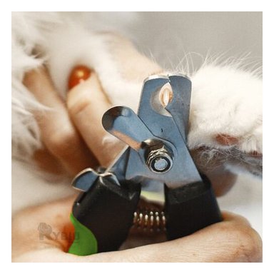 CORTADOR RYBIU MA31085 PRACTICO UÑAS PERRO EN TALLA L + STICKERS - 4