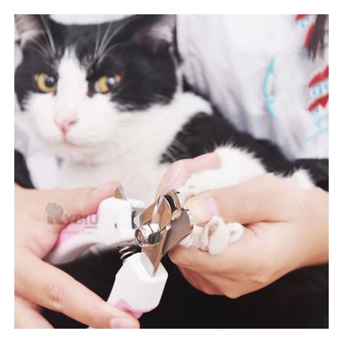 CORTA UÑAS RYBIU MA31091 USO DIARIO GRANDE EN ROSADO + PAPEL REGALO