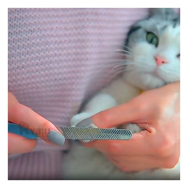 CORTAUÑAS RYBIU MA31096 PERROS GRANDE EN CELESTE + PAPEL REGALO