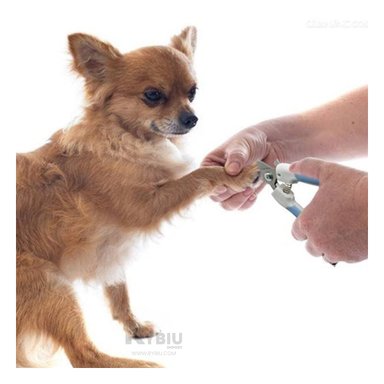 CORTADOR UÑAS RYBIU MA31093 DISEÑO GRANDE AZUL + GIFT MINIAGENDA