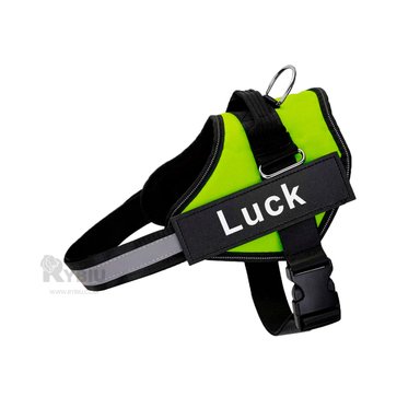 PECHERA PERROS MA30976 RYBIU RESISTENTE TALLA S VERDE + PAPEL REGALO