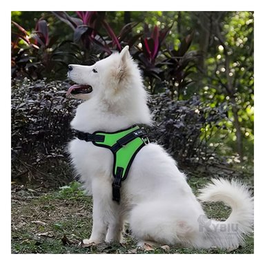 ARNÉS PERROS MA30976 RYBIU CANINA VERDE + REGALO LIGAS PEINAR