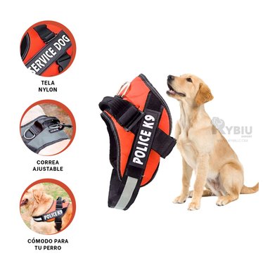 CORREA PERROS MA30973 RYBIU TALLA S ANARANJADO + ENVOLTORIO REGALO