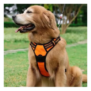 PECHERA PERROS MA30973 RYBIU CANINA ANARANJADO + REGALO LIGAS PEINAR