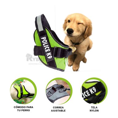 CORREA PERROS MA30976 RYBIU COMODA Y DURADERA TALLA S VERDE + REGALO AGENDITA