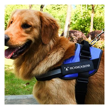 PECHERA PERROS MA30972 RYBIU CANINA AZUL + REGALO LIGAS PEINAR