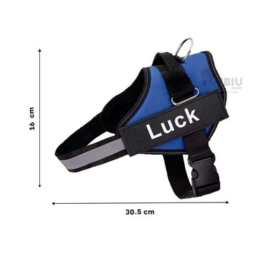 PECHERA PERROS MA30972 RYBIU FUNCIONAL TALLA S AZUL + BANDERITAS ADHESIVAS