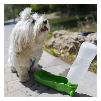 BEBEDERO PERROS MA31014 RYBIU CON BANDEJA VERDE + AGENDITA