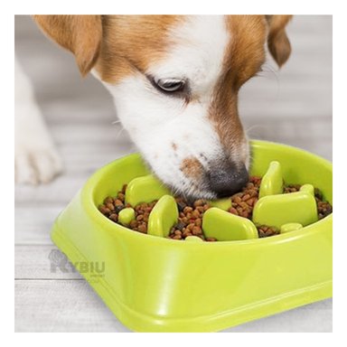 PLATO PERRO MA31311 RYBIU COMPACTO VERDE + PAPEL REGALO