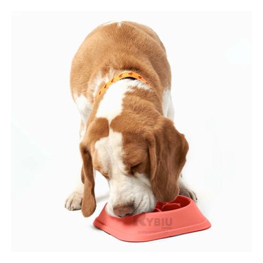 COMEDERO MA31309 RYBIU ESENCIAL COMER ROJO + REGALO AGENDITA