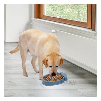 PLATO PERRO MA31312 RYBIU COMPACTO AZUL + PAPEL REGALO