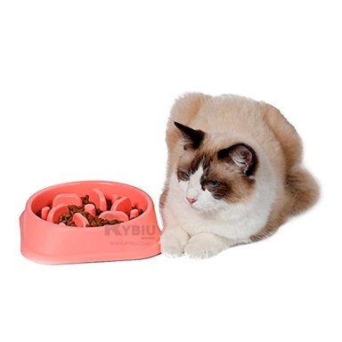 COMEDERO MA31309 RYBIU FORMA CUADRADO CAN ROJO + REGALO STICKERS