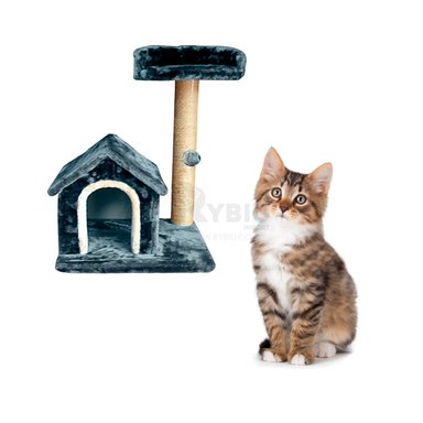 CASA GATOS MA31118 ENTRETENIMIENTO GATUNO AZUL + ENVOLTORIO REGALO RYBIU - 2