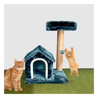 CAMA GATOS MA31118 PRACTICA EN AZUL + REGALO LIGAS PEINAR RYBIU