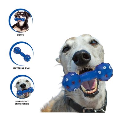 MASTICABLE PERROS MA31135 ELEGANTE AZUL + REGALO STICKERS RYBIU