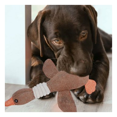 JUGUETE LANA PERROS Y GATOS MA31264 LIVIANO EN MODELO PATO + REGALO LIGAS PEINAR RYBIU