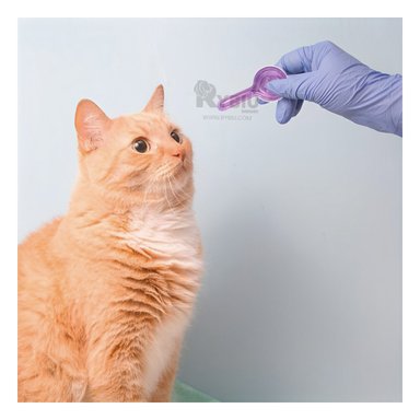 GOTERO GATOS RYBIU FELINO EFECTIVO EN MORADO + LIGAS REGALO