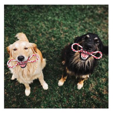 RECORTADOR RYBIU MA31097 PORTATIL Y LIGERO ROJO + GIFT MINIAGENDA