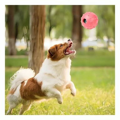 PELOTA CAUCHO PERROS MA31153 ENTRETENER MASCOTAS ROSADO + REGALO STICKERS RYBIU