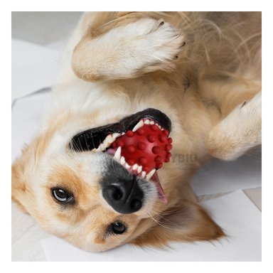 BALÓN CAUCHO PERROS MA31152 EN ROJO + REGALO LIGAS PEINAR RYBIU