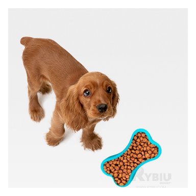 FUENTE PERRO Y GATO MA31321 RYBIU MINIMALISTA PETS CELESTE + REGALO STICKERS