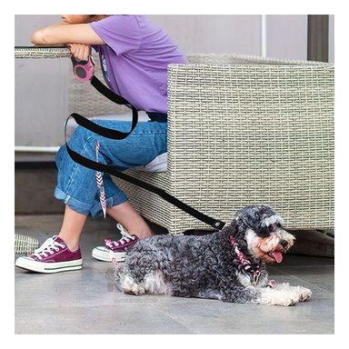 CORREA PERROS MA31380 RYBIU AUTOMÁTICA CANINA 3M EN ROSADO + GIFT MINIAGENDA