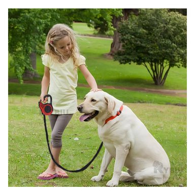 SOGA MASCOTAS MA31382 RYBIU PLEGABLE 3M EN ROJO + PAPEL REGALO