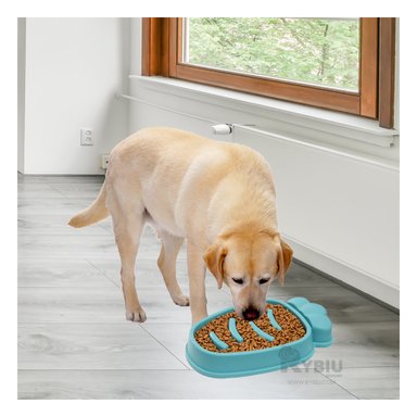 PLATILLO PERRO MA31313 RYBIU ANTIESTRES MATIZ VERDE + BANDERITAS ADHESIVAS