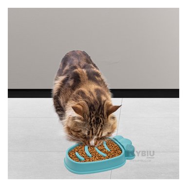 PLATILLO PERRO MA31313 RYBIU DISEÑO ZANAHORIA VERDE + POST-IT ADHESIVOS