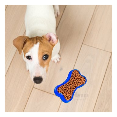 TAZON PERRO Y GATO MA31320 RYBIU DIVERTIDO FELINOS AZUL + REGALO STICKERS