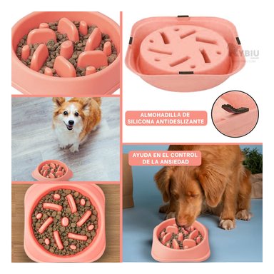 COMEDERO MA31310 RYBIU FORMA CUADRADO CAN ROSADO + REGALO STICKERS