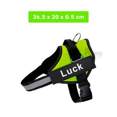 PECHERA PERROS MA30969 RYBIU FUNCIONAL VERDE + BANDERITAS ADHESIVAS