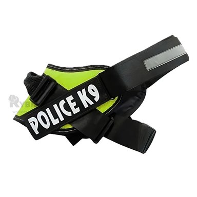 CORREA PERROS MA30969 RYBIU FACIL COLOCAR VERDE + GIFT STICKERS