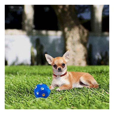 PELOTA PERROS MA31235 ENGRANADA CANINA ROSADO + PAPEL REGALO RYBIU