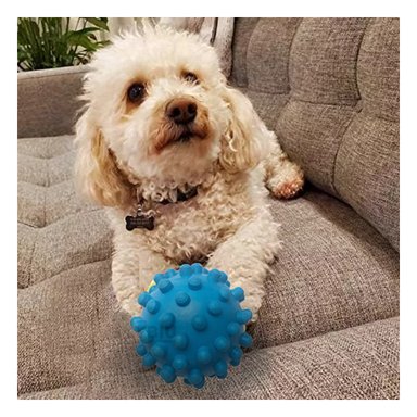 JUGUETE CAUCHO PERROS MA31144 RESISTENTE CELESTE + PAPEL REGALO RYBIU