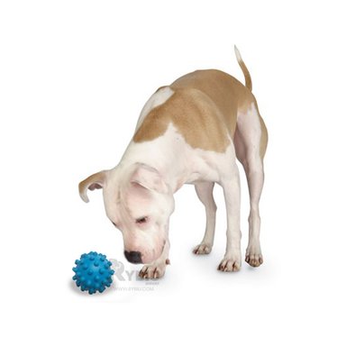 ESFERA CAUCHO PERROS MA31144 ANTIESTRES CELESTE + BANDERITAS ADHESIVAS RYBIU