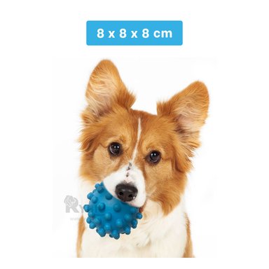 ESFERA CAUCHO PERROS MA31144 MASCOTA CELESTE + LIGAS REGALO RYBIU