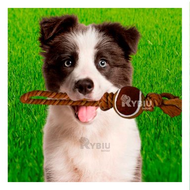 JUGUETE PERROS MA31356 MARRON + REGALO LIGAS PEINAR RYBIU