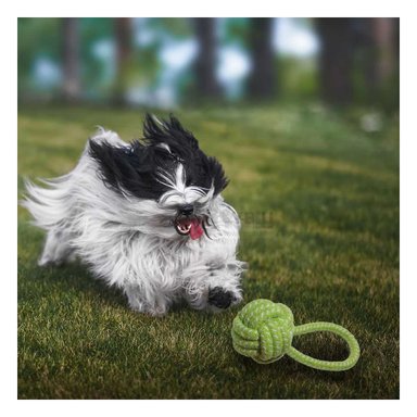 SOGA PERROS MA31353 NO TOXICO EXTRA FUERTE VERDE + REGALO AGENDITA RYBIU