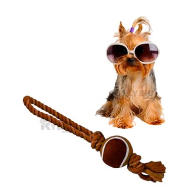 JUGUETE PERROS MA31356 CUERDA MORDISQUEAR MARRON + REGALO STICKERS RYBIU